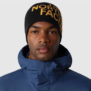 the-north-face-reversible-gris-nf00akndagg1-1.jpeg
