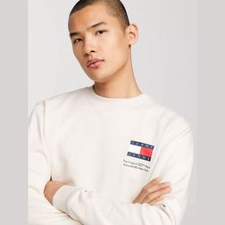 tommy-jeans-reg-essential-flag--dm0dm18913acg-3.jpeg