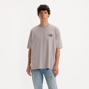 levi-s-skateboarding-gris-a1005-0017-1.jpeg