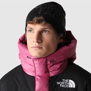 the-north-face-reversible-negro-nf00akndkt01-1.jpeg
