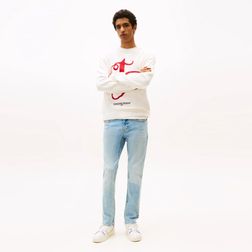 tommy-jeans-scanton-slim-denim-dm0dm209851ab-4.jpeg