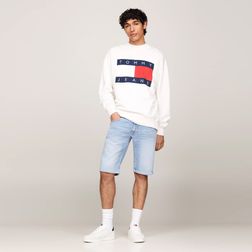 tommy-jeans-ronnie-denim-dm0dm187931ab-2.jpeg
