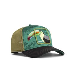 goorin-bros-belize-toucan-multicolor-101-2685-voi01-3.jpeg