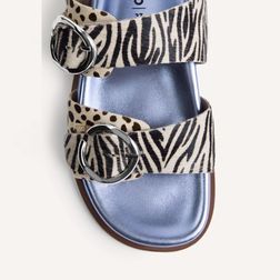 gioseppo-carney-leopardo-78025-p-azul-3.jpeg